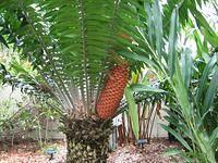 IMG_1915.JPG