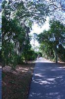 IMG_2233.JPG