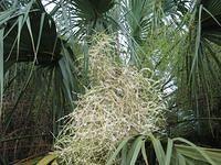 IMG_2283.JPG