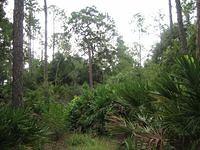 IMG_2285.JPG
