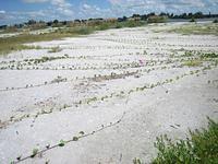IMG_2400.JPG
