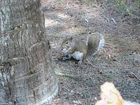 IMG_2401.JPG