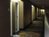 IMG_2065.JPG