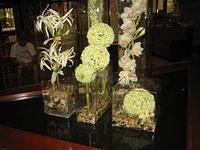 IMG_2124.JPG