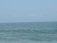 IMG_1623.JPG