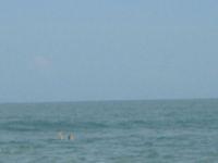 IMG_1627.JPG