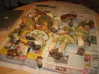 IMG 3161
