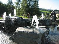 IMG 3231