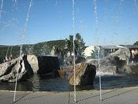 IMG 3233