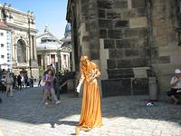 IMG 3254
