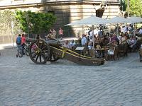 IMG 3267