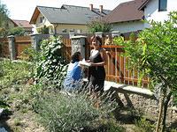 IMG 3293