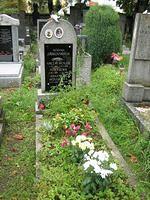 IMG 3401