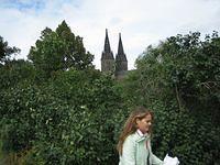 IMG 3452