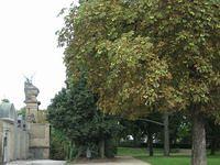 IMG 3485