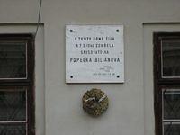 IMG 3488