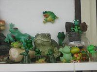 IMG 3515