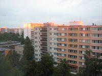 IMG 3519