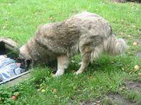 IMG 3526