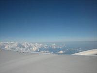 IMG 3543