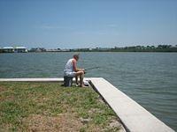 IMG 3004