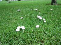 IMG 3026