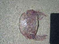 IMG 3869