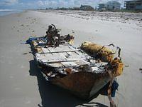 IMG 3872