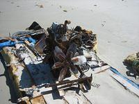 IMG 3873