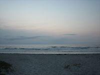 IMG 3878