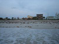 IMG 3879