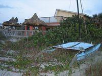 IMG 3881