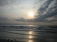IMG 3888