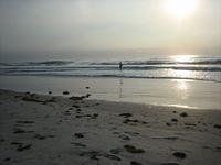 IMG 3890