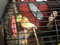 IMG 4370
