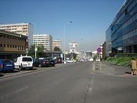 IMG 4406