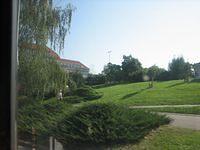IMG 4411