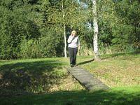 IMG 4543