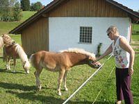 IMG 4592