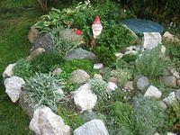 IMG 4758