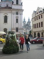 IMG 4762