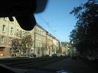 IMG 4885