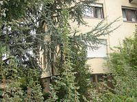 IMG 4916