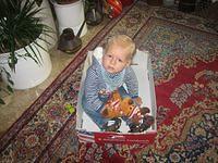 IMG 4929