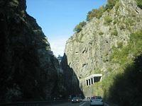 IMG 4999