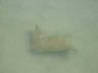 IMG 3816