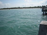 IMG 3824