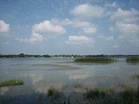 6/8/11 Lake Seminole IMG 3912