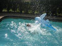 IMG 3922