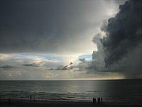 IMG 3961